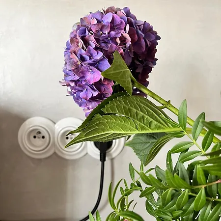 Apartmán Heart Of Le Marais - Modern & Cosy Nest In The Old *
